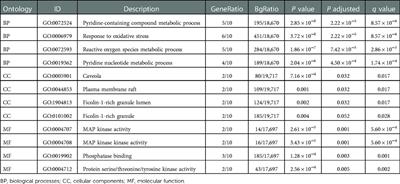 Identification of ferroptosis-related genes and predicted overall survival in patients with burns